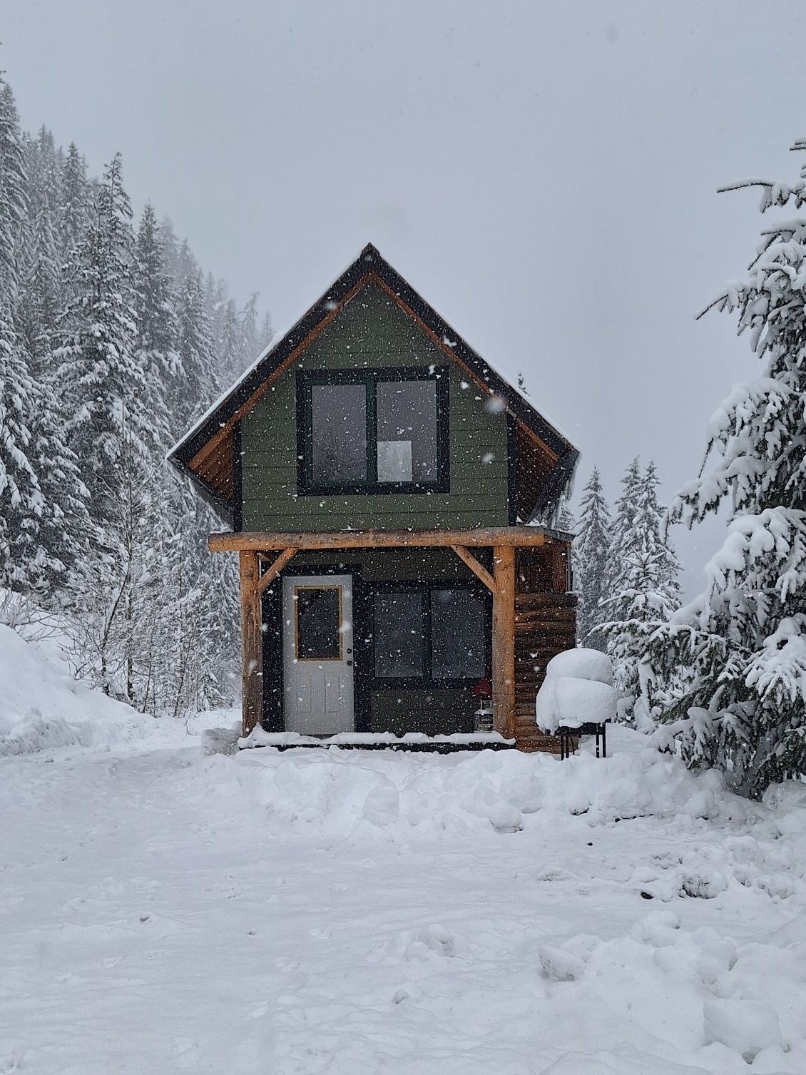 Small cabin surrounded by snow-covered trees in a snowy forest, with snowflakes falling around.